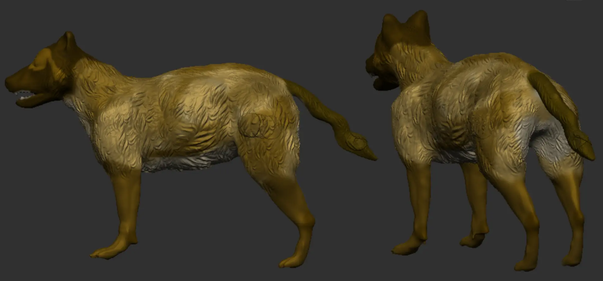Dire wolf 2