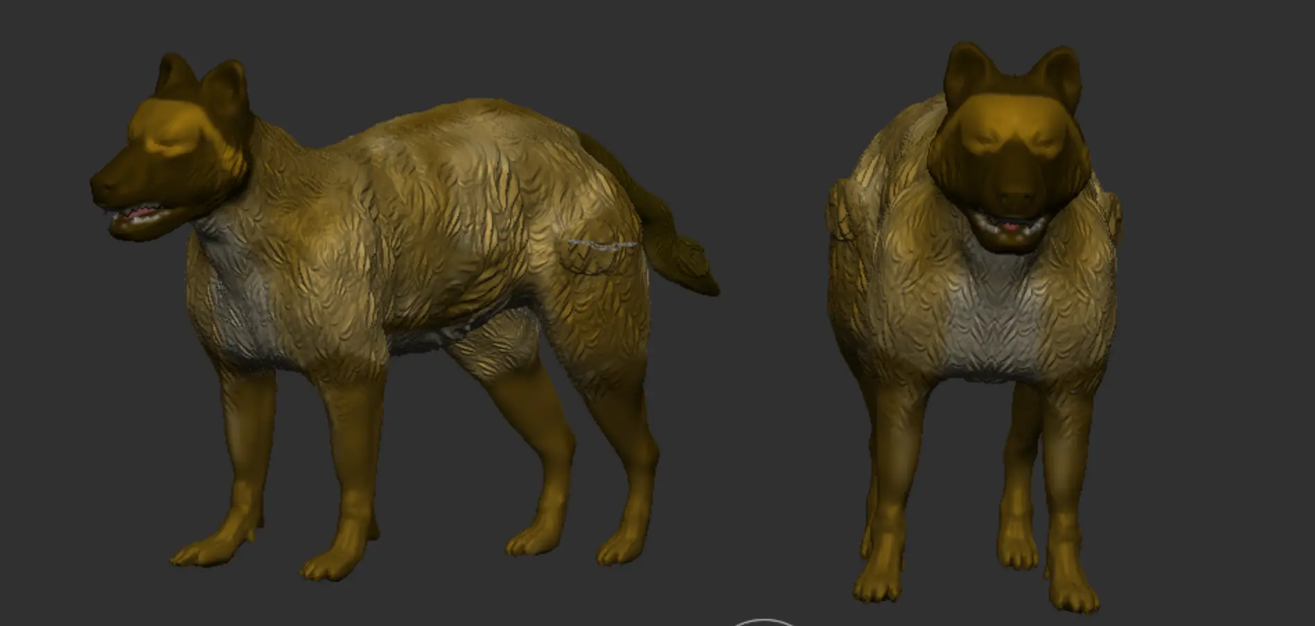 Dire Wolf 1