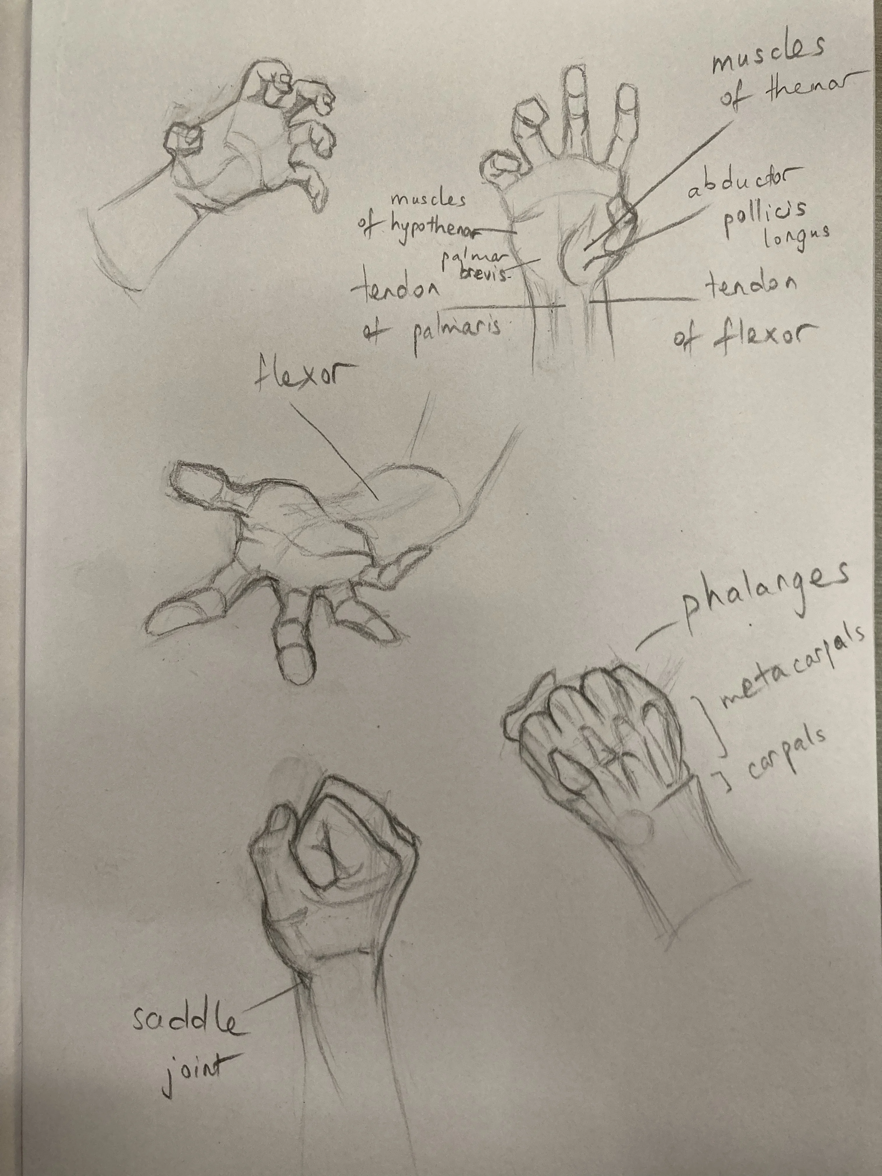 Left Hand Practice