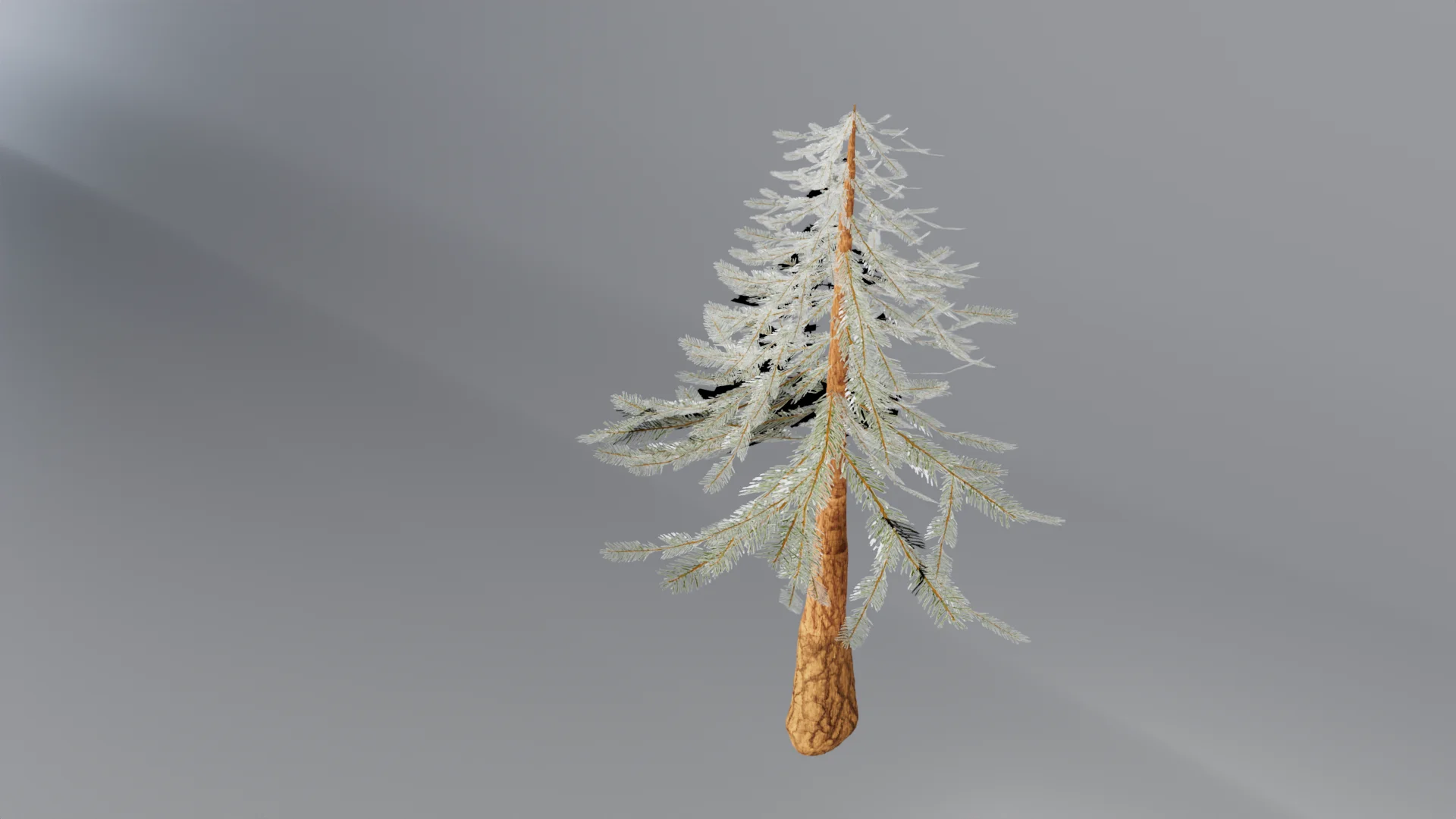 Painted Pine Tree Render 2