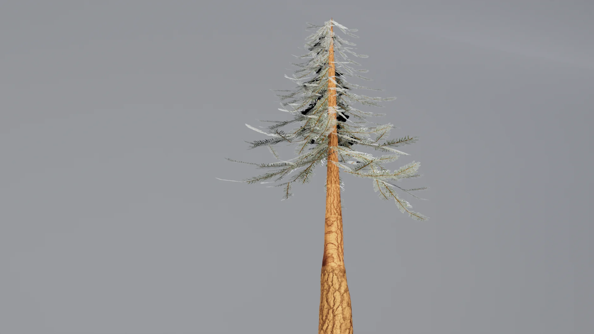 Painted Pine Tree Render 3