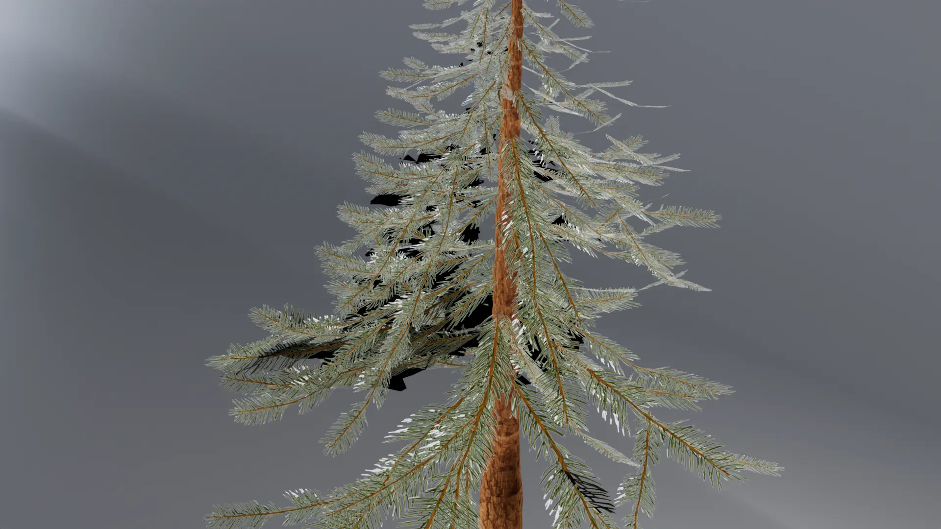 Painted Pine Tree Render 3