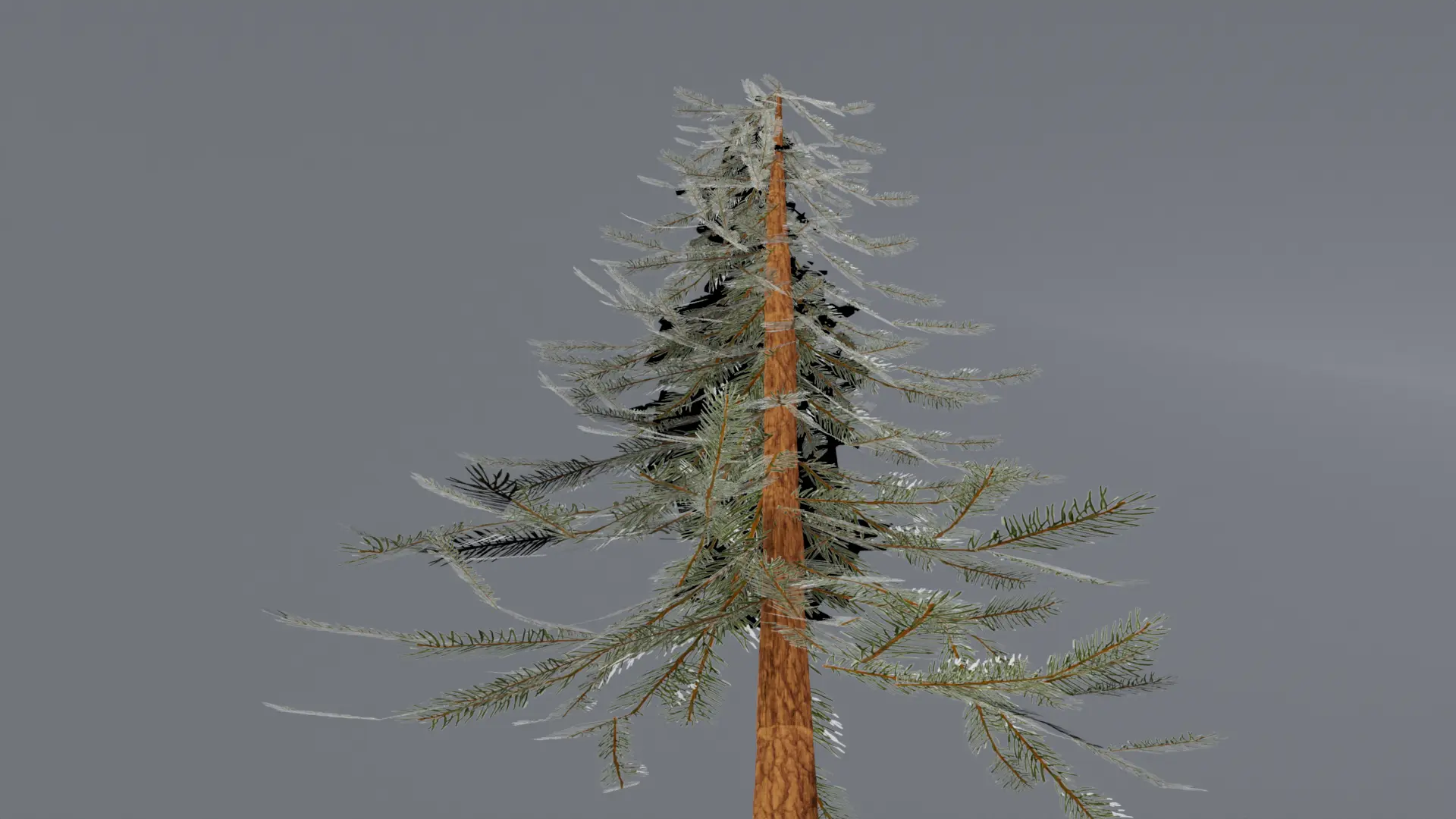 Painted Pine Tree Render 3