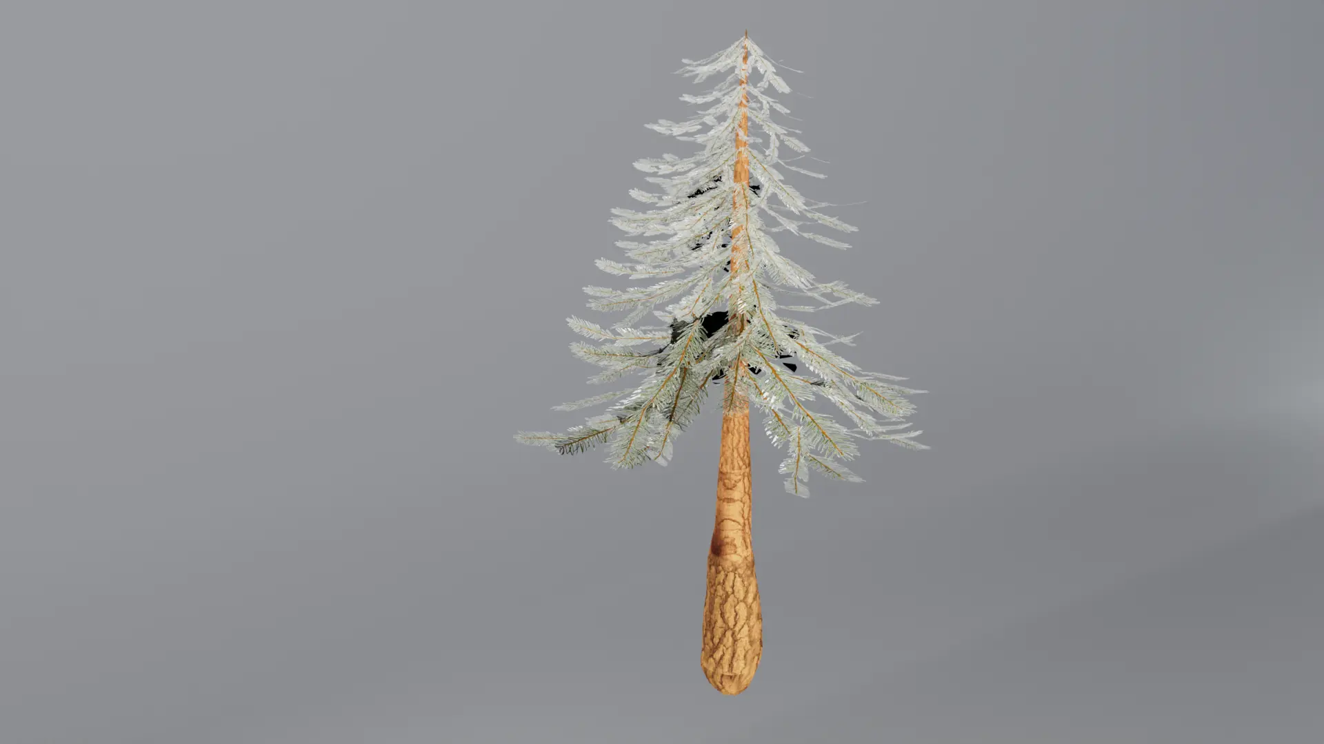 Painted Pine Tree Render 3