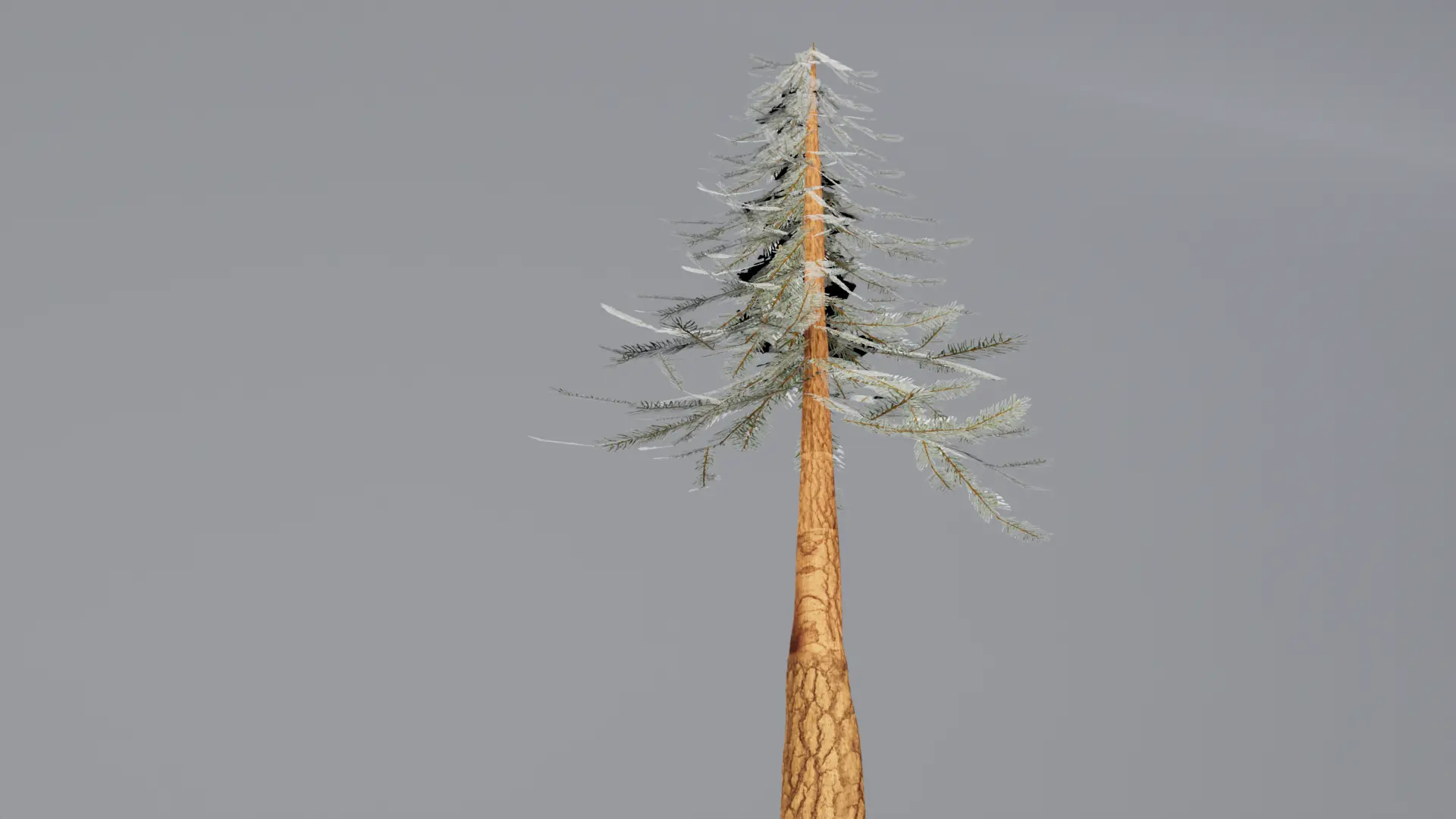 Painted Pine Tree Render 3